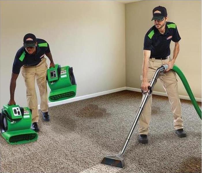 Cleaning Services